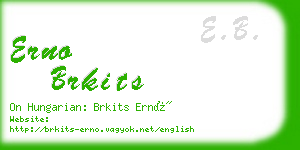 erno brkits business card